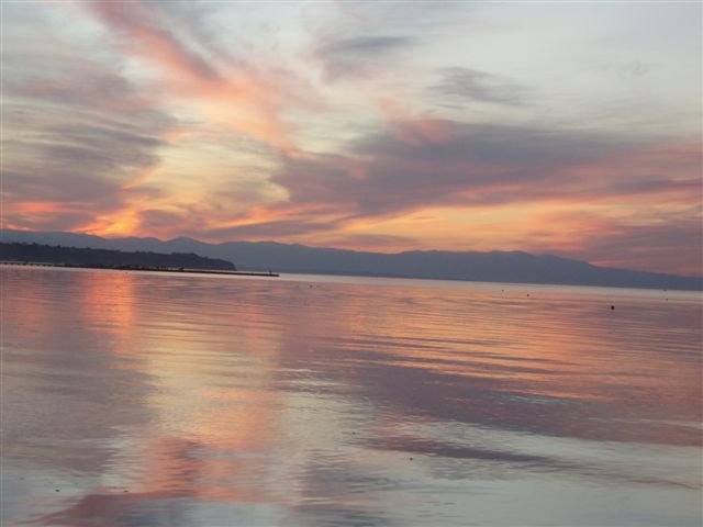 olympus 31-3-2007 039